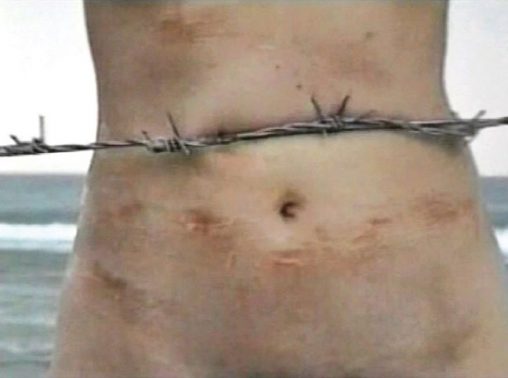 Barbed Hula, Sigalit Landau