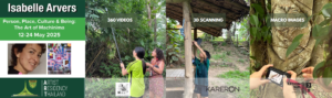 beyond green games prem chiang mai