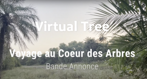 Trailer virtual tree isabelle arvers mbaye camara